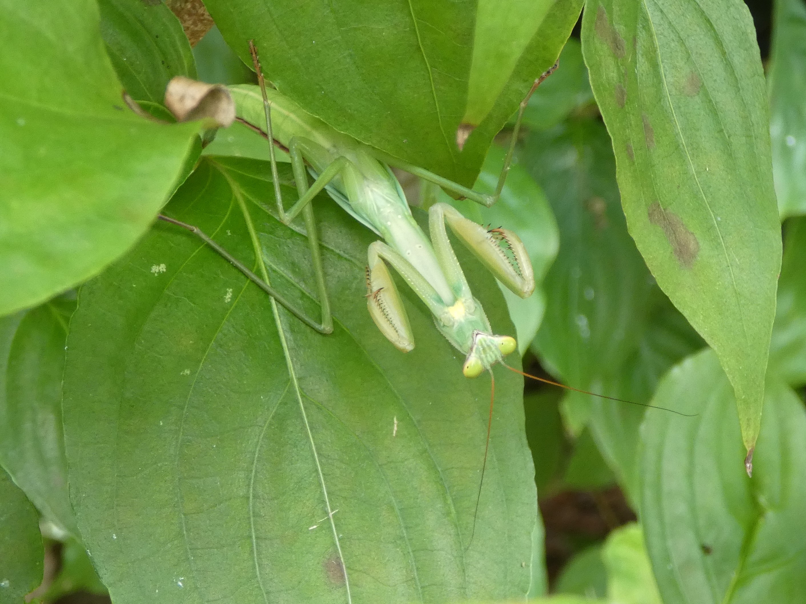 photo_3